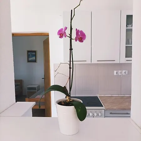 Dina Jablanicko Jezero