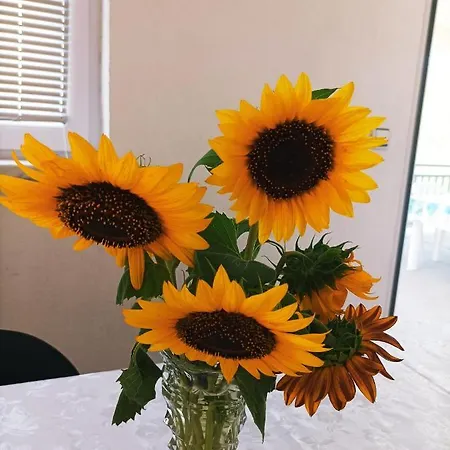 Daire Dina Jablanicko Jezero Konjic