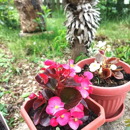 Dina Jablanicko Jezero Daire Konjic