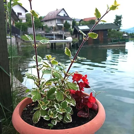 Dina Jablanicko Jezero Appartement