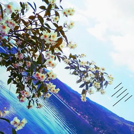 Dina Jablanicko Jezero * Konjic